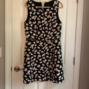 Ann Taylor black and white floral dress beautiful condition only worn once
